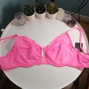 Jessica intimates hot pink lace bra 38D NWT